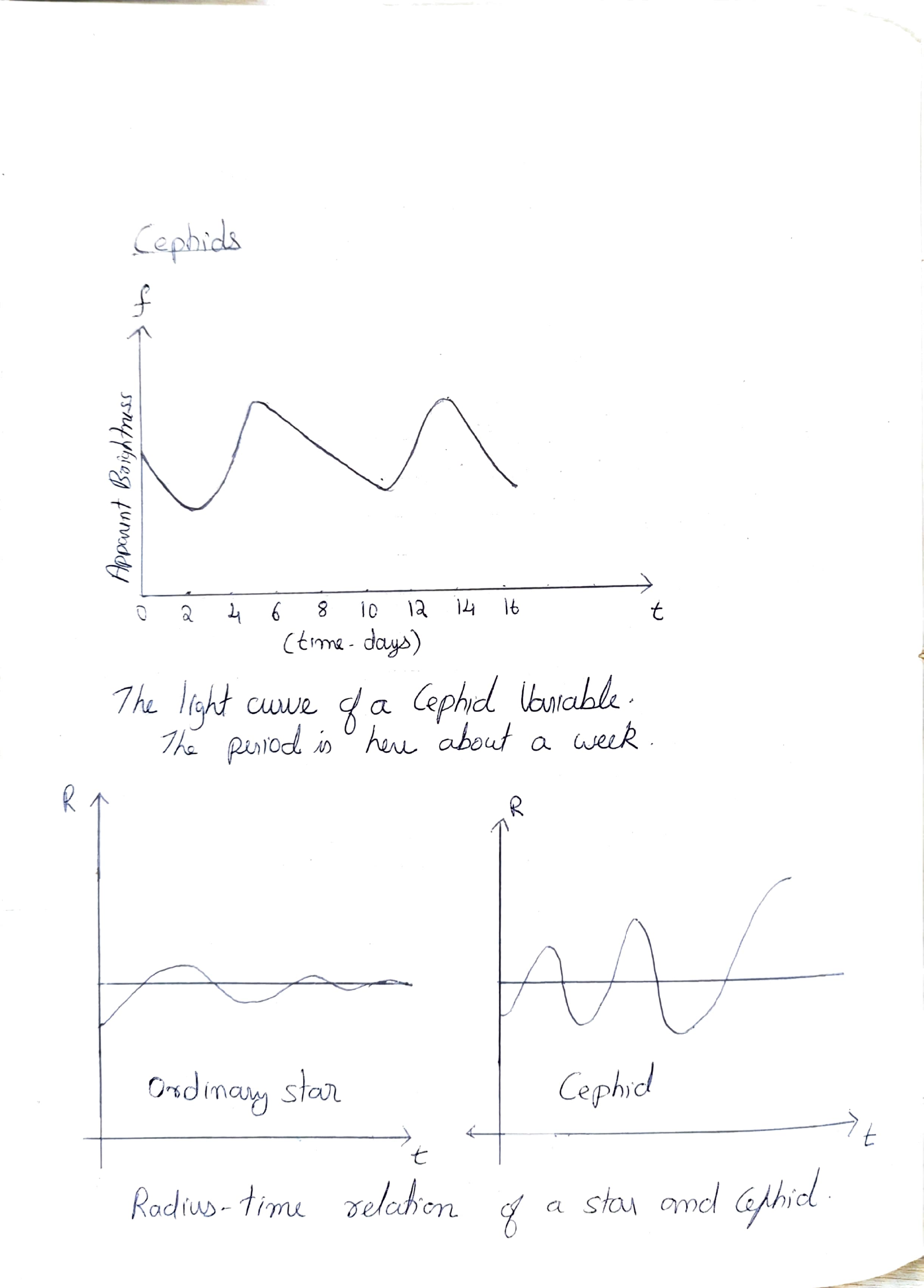 Cepheid light curve and radius-time relation