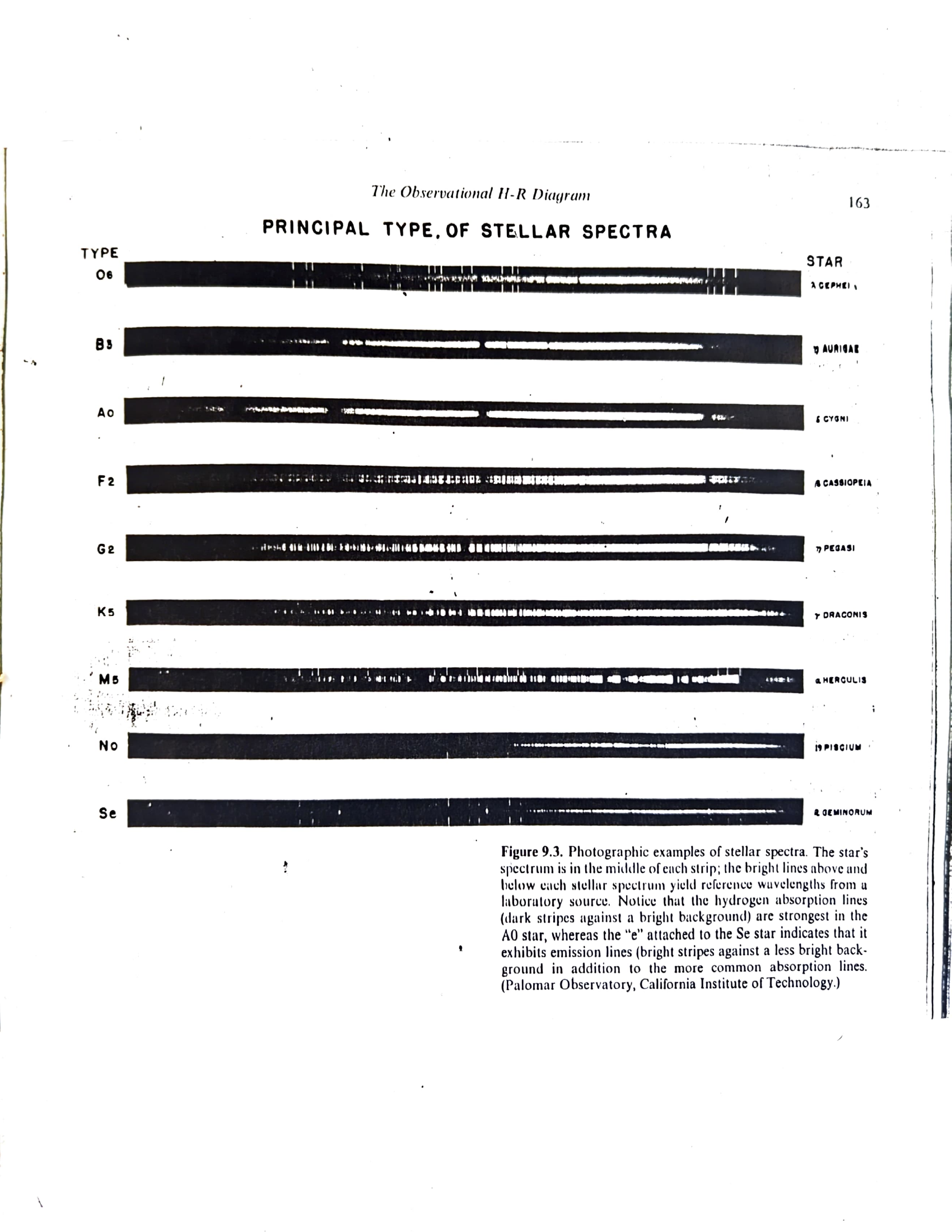 Principal Types of Stellar Spectra
